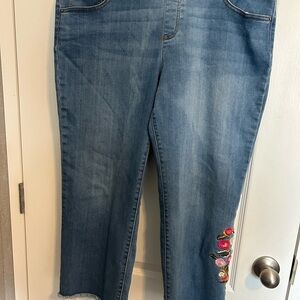 The Pioneer Woman Embroidered Cropped Pull-On Denim Jeans Size XL